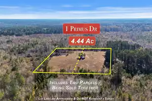 1 Primus Dr, Saint George, SC 29477 - Photo 1