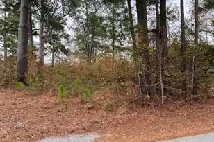 0 Pinebrook St, Orangeburg, SC 29118 - Photo 1