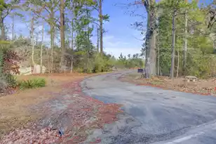 00 Hill Branch Rd, Ridgeville, SC 29472 - Photo 1