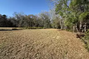 0 Cameron Dr, Ridgeville, SC 29472 - Photo 1
