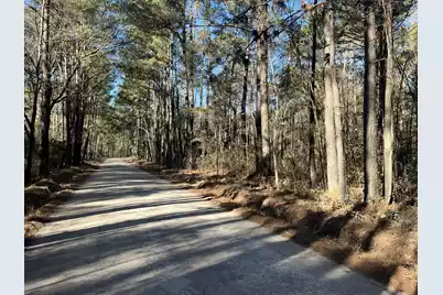 0 Brittlebank Road, Walterboro, SC 29488 - Photo 1