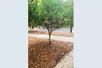 8 Wild Spartina Street, Bluffton, SC 29910 - Photo 1