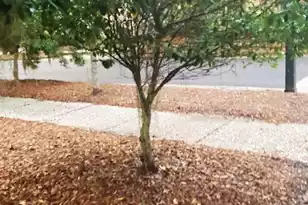 8 Wild Spartina St, Bluffton, SC 29910 - Photo 1