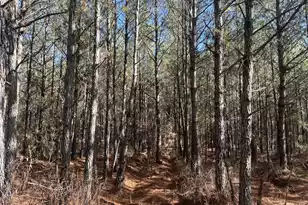 6 Red Oak Rd, Cottageville, SC 29435 - Photo 1