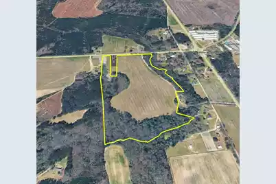 Tbd Moses Dingle Road, Manning, SC 29102 - Photo 1