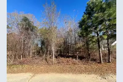 0 Tennis Lane, Summerton, SC 29148 - Photo 1