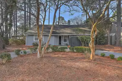 1126 Snap Dragon Court, Mount Pleasant, SC 29464 - Photo 1