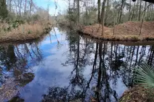 0 Crumley Road #Lot 47 and 47A, Walterboro, SC 29488 - Photo 1