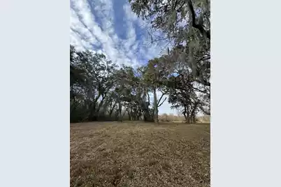 28 Hopkinson Place Drive, Edisto Island, SC 29438 - Photo 1