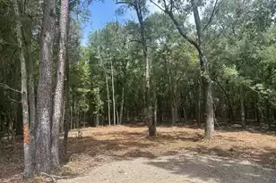 8 Francis Marion Blvd, Summerton, SC 29148 - Photo 1