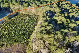 1 Dantzler Rd, Harleyville, SC 29448 - Photo 1