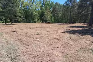 1064 Van Dyke Rd, Cottageville, SC 29435 - Photo 1