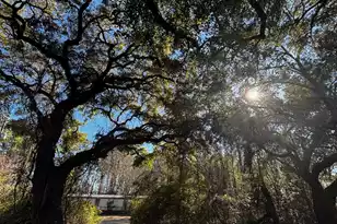 3969 River Rd, Johns Island, SC 29455 - Photo 1