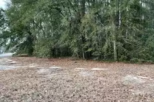 0 Crnr Tyler Rd + Bruce St, Orangeburg, SC 29115 - Photo 1