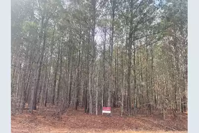 125 Roper Circle, Orangeburg, SC 29115 - Photo 1