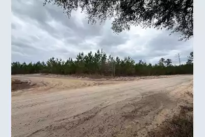 Bff II 5 Brunson Teal Rd Road, Patrick, SC 29584 - Photo 1