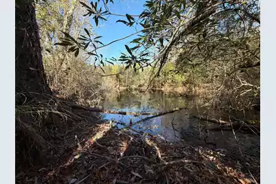 Bff II 7 Brunson Teal Rd Road, Patrick, SC 29584 - Photo 1