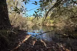 Bff II 7 Brunson Teal Rd Rd, Patrick, SC 29584 - Photo 1