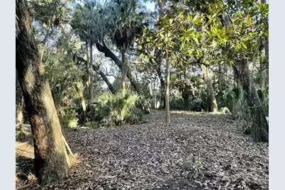 539 Oristo Ridge, Edisto Beach, SC 29438 - Photo 1