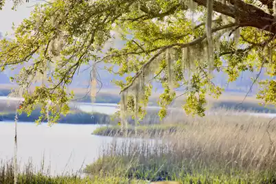 4559 Smoak Road, Meggett, SC 29449 - Photo 1