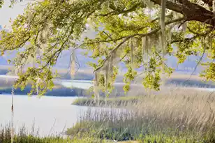 4559 Smoak Rd, Meggett, SC 29449 - Photo 1