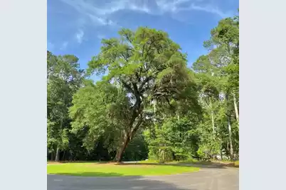 6301 Buttonbush Drive #Lot 8, Ravenel, SC 29470 - Photo 1