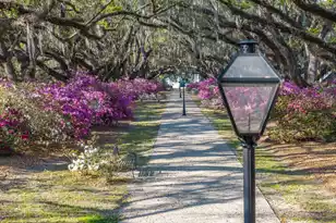 1034 Ave Of Oaks, Charleston, SC 29407 - Photo 1