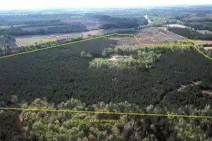 305 Ponderosa Rd, Saint Matthews, SC 29135 - Photo 1