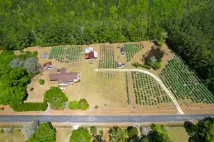 9760 Randall Rd, McClellanville, SC 29458 - Photo 1