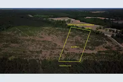 0000 Ponderosa Road, Saint Matthews, SC 29135 - Photo 1