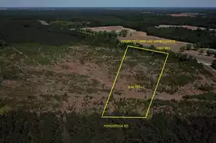 0000 Ponderosa Rd, Saint Matthews, SC 29135 - Photo 1