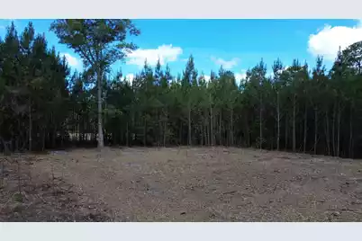 4 Highway 311, Cross, SC 29436 - Photo 1