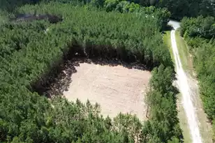 5 Hwy 311, Cross, SC 29436 - Photo 1
