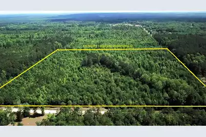 0 New Light Drive, Neeses, SC 29107 - Photo 1