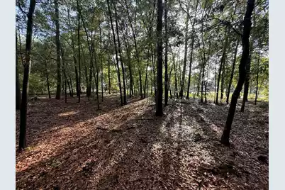 100 Triangle Drive, Summerton, SC 29148 - Photo 1