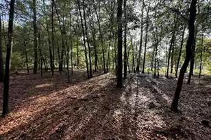 100 Triangle Dr, Summerton, SC 29148 - Photo 1