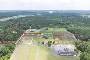 2 Joseph Lemon & Dingle Rd, Manning, SC 29102 - Photo 1