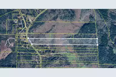 0 Mauss Hill Road, Adams Run, SC 29426 - Photo 1