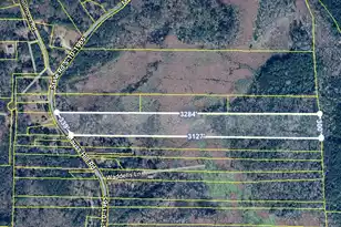 0 Mauss Hill Rd, Adams Run, SC 29426 - Photo 1