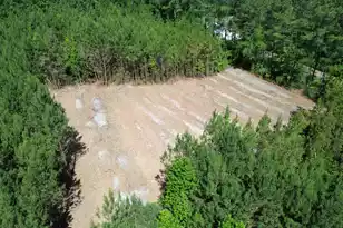 1 Hwy 311, Cross, SC 29436 - Photo 1