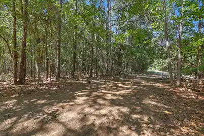 Lot 6 Nelson View Drive, Mount Pleasant, SC 29429 - Photo 1