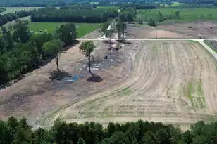 2 Azeeban Rd, Vance, SC 29163 - Photo 1
