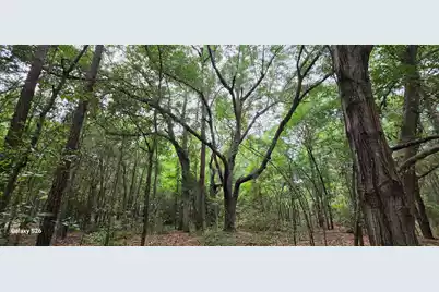 00 Cooper Lane, Summerton, SC 29148 - Photo 1