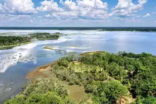 6258 Josie Ridge Rd, Wadmalaw Island, SC 29487 - Photo 1