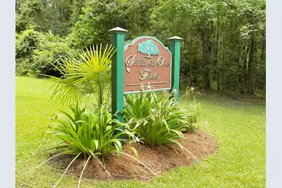 6370 Shilelagh Oaks Parkway, Ravenel, SC 29470 - Photo 1