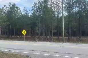 000 Jefferies Hwy, Walterboro, SC 29488 - Photo 1