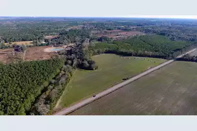 0 Rocks Pond Road #Lot M, Eutawville, SC 29048 - Photo 1
