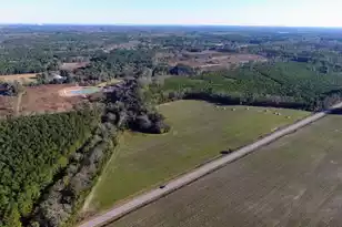 0 Rocks Pond Road #Lot M, Eutawville, SC 29048 - Photo 1