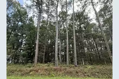 6129 Smith Road, Ravenel, SC 29470 - Photo 1