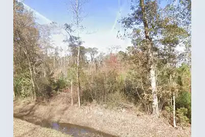 00 Wade Hampton, Hampton, SC 29924 - Photo 1